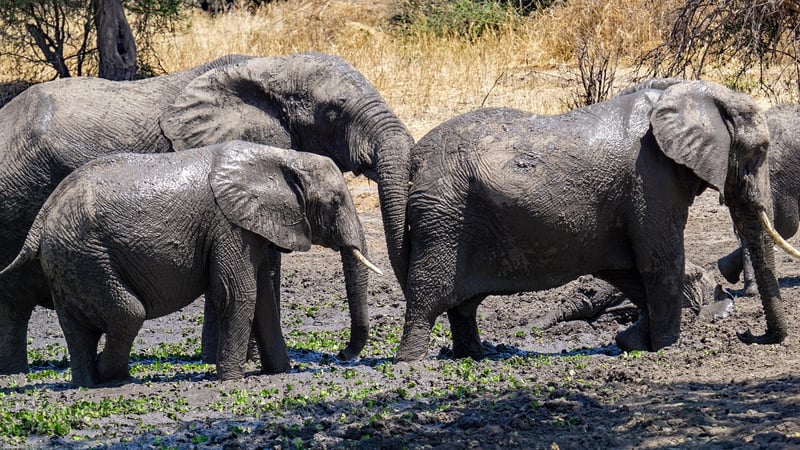 Serengeti National Park