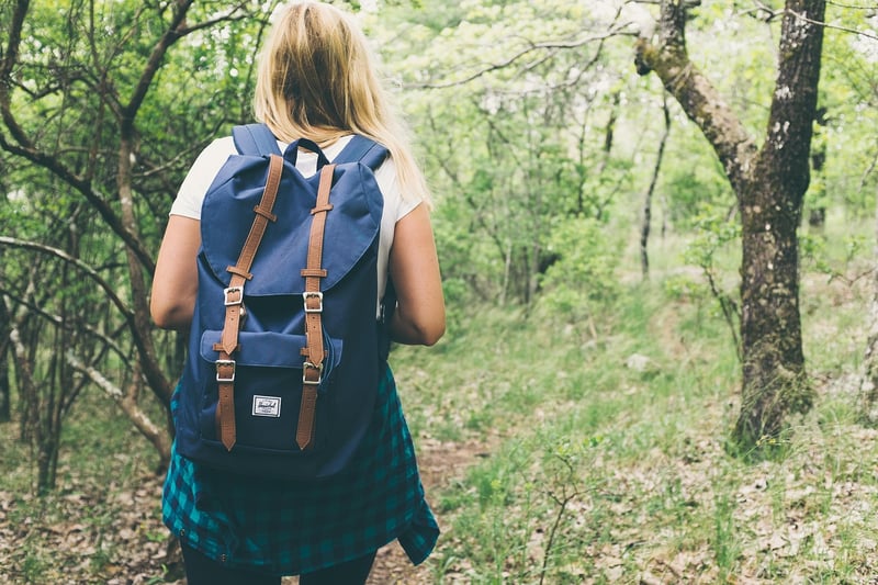 Hiking in the Mountains